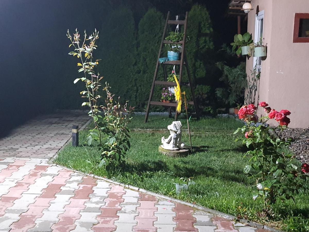 Ferienwohnung Casa Ella Sighişoara Exterior foto